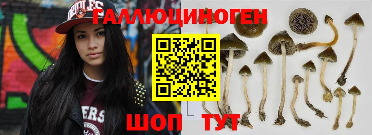 Псилоцибиновые грибы мицелий  Вход с VPN  Назарово 
